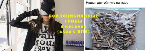 СК Бугульма